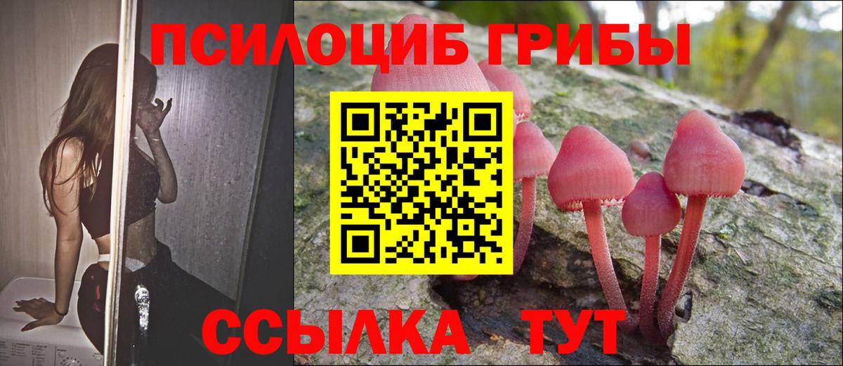 Псилоцибиновые грибы прущие грибы  Вход с VPN  Россошь 